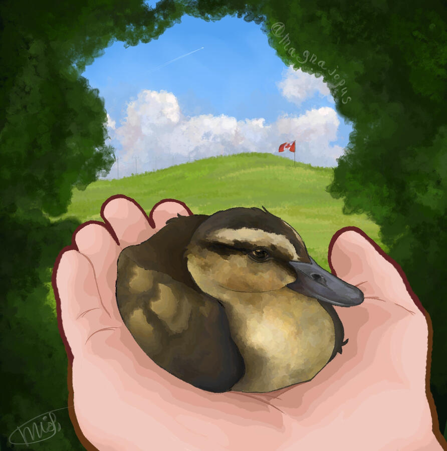 Полноценка